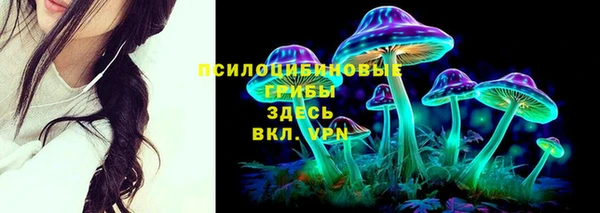 ECSTASY Видное