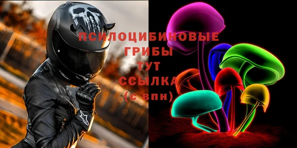 дмт Весьегонск
