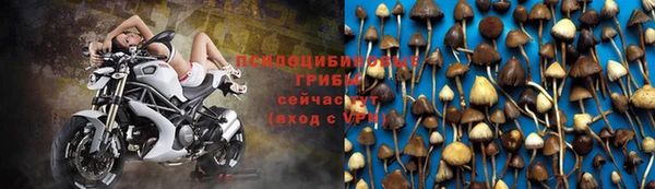 метадон Ветлуга